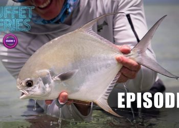 Seeking Permit – Ep. 5 Buffet Series