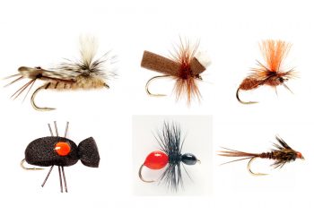 Tom’s Secret Tips for Fishing Terrestrial Flies
