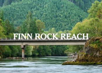 Turbidity Update – Finn Rock Reach Restoration Project