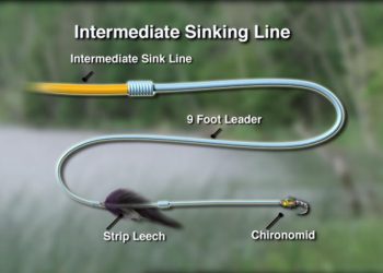 Video Pro Tips: How to Catch Trout in Lakes