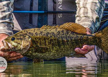 A High Desert Bass Fishing Adventure with Brian O’Keefe