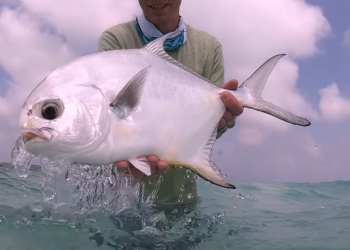 Buffet Series Season Finale | MidCurrent