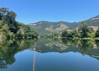 Early August Fishing Opportunities around the State