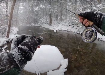 Story: Stranded | MidCurrent