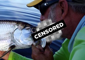 Tarpon Before Breakfast – Moldy Chum