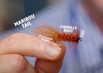 Video: The Origins of the Woolly Bugger