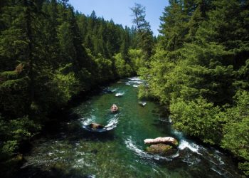 fly fishing the upper mckenzie with the caddis fly