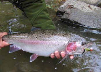 Classic Tips: How to Get the Most Out of Your Streamers