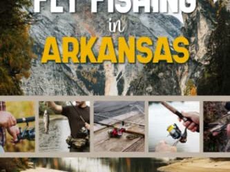 Fly Fishing in Arkansas: Fly Fishing Log Book for Local Backyard Anglers and Fly Fishing Enthusiasts | Over 100 Pages to Log Fishing Trips and Experiences | Essential Journal for the Tackle Box
