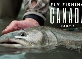 Fly Fishing in Canada with Wild Fly Productions