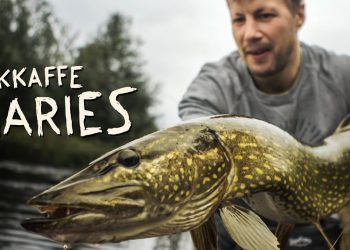Kokkaffe Diaries Episode 12 – Moldy Chum