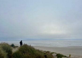 Oregon Surf Perch On The Fly