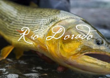 Rio Dorado – Moldy Chum