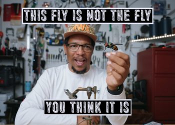 Tying the D2 – Moldy Chum