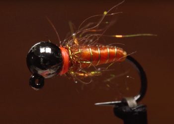 Video: How to Tie the October Caddis Euro Nymph