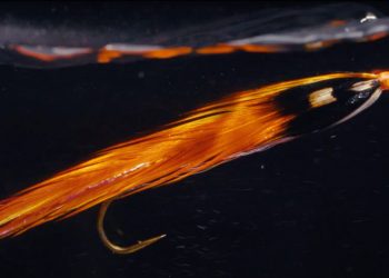 Video: Preserving the Art of the Featherwing Streamer