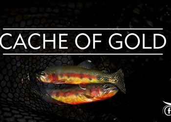 CACHE OF GOLD: Fly fishing the Eastern Sierra for Golden Trout