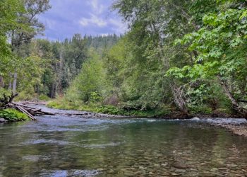 Early October Fishing Report | The Caddis Fly: Oregon Fly Fishing Blog