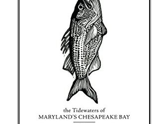 Fly Fishing the Tidewaters of Maryland’s Chesapeake Bay: A Calendar Year of Stories, Spots, and Recipes