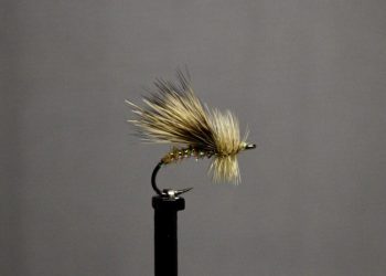 Lucent Body Sedge Fly Tying Video Instructional