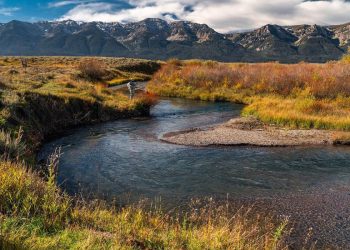 Meet the Winners of Our 2023 “20 Days in September” Contest