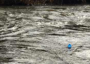 Story: Blow Up Bobbers | MidCurrent