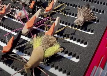 Top Dries for Fall | MidCurrent