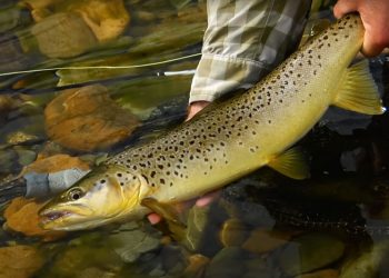 Video: How Master Anglers Explore New Water