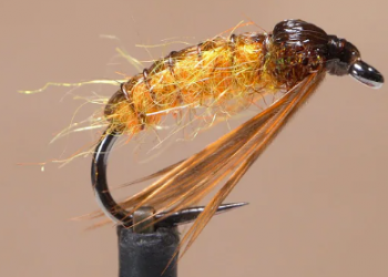 Whip Finish Wednesday: October Caddis Pupa