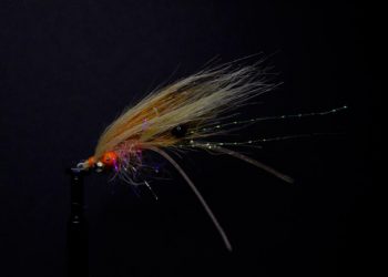 Craft Fur Spawning Shrimp Surf Perch Fly Tutorial
