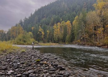 Early November Fishing Report | The Caddis Fly: Oregon Fly Fishing Blog