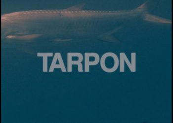 TBV: Tarpon Trailer – Moldy Chum