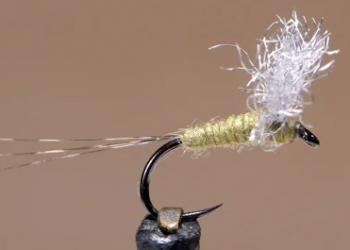 Tying Tuesday: Blue-Winged Olive Size 18