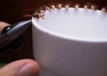 Video: Where to Place Flies While Head Cement Dries