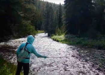 Fighting Fish Downstream | MidCurrent