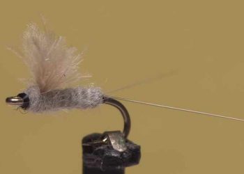 Video: How to Tie the RS2