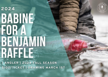 Babine for a Benjamin Raffle is on now!