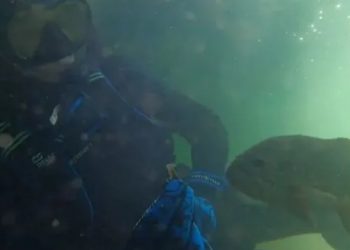 My Closest Friend Is A Fish