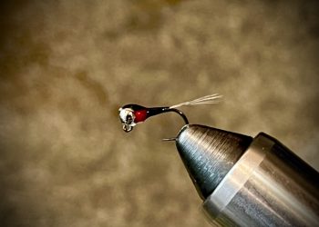 Spanish Perdigon Trout Fly Pattern