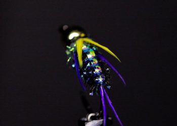 Steelhead Psycho Prince | The Caddis Fly: Oregon Fly Fishing Blog