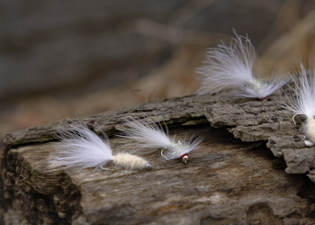 The Tracer Streamer Concept | MidCurrent