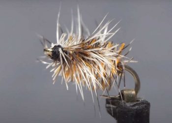 Video: How to Tie the Buzzball