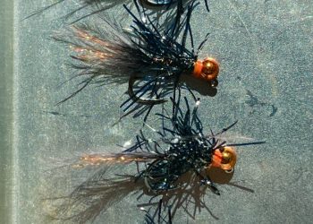 Walker Stalker Fly Pattern | The Caddis Fly: Oregon Fly Fishing Blog