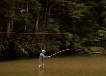 Classic Video Pro Tips: The 5 Essentials of Fly Casting