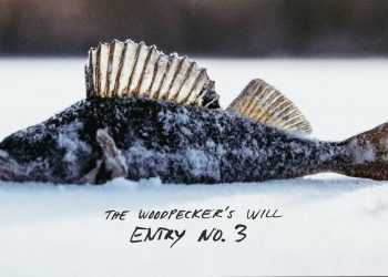 Ice fishing without nicotine