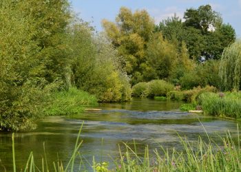 Messing With The River Test