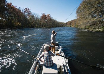 Pro Tips: Top 10 Flies for Winter in Arkansas