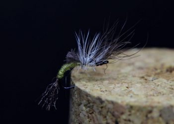 Snowshoe BWO Emerger: Dry Fly Tying Tutorial