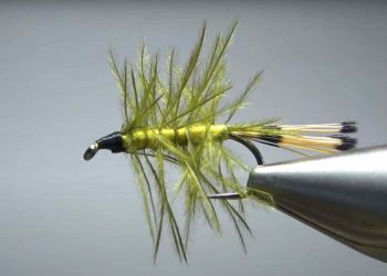 Tying Tuesday: The Easy Yellerhammer Nymph
