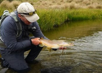 Video Pro Tips: Sight-Fishing on Cloudy Days
